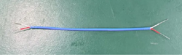 Thermocouple with peeled the coating of two cables on both ends (red and white)